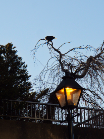 bt天堂www种子在线 bt天堂www种子在线