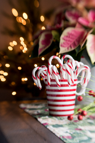 bilibili哔哩舌吻视频 bilibili哔哩舌吻视频