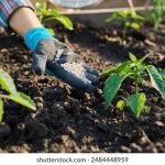 e本大道在线播放电影 aondpa