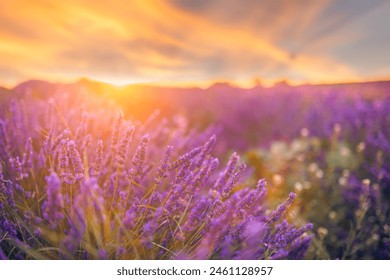 褔利社藏经阁|成人网站 褔利社藏经阁|成人网站