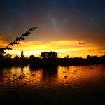 天天爽天天肉天天爽 d99q1z3