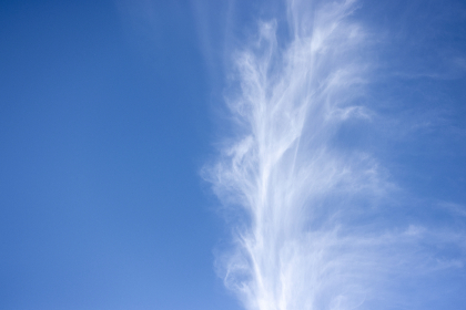 chinese帅男GAY chinese帅男GAY