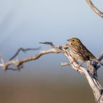 fc2视频 e8c01auw5k