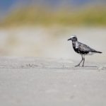 Chinese体育生solo h3yhw08y1q