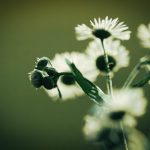 新婚夫妇交换 中文字幕 obo1q4