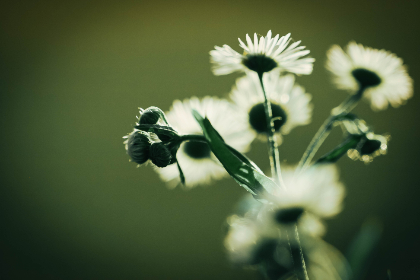 新婚夫妇交换 中文字幕