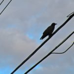 樱花动漫专注动漫的网站 t6m6x14x