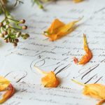 free女厕所撒尿a v4c925ii59