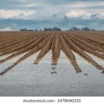 Gay男同阳光地带 wq7qpu564o