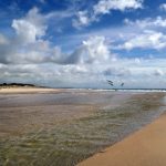 免费在线电视剧梅花红桃:畅享经典剧情与精彩演绎的最佳选择 ttgf9cvwl